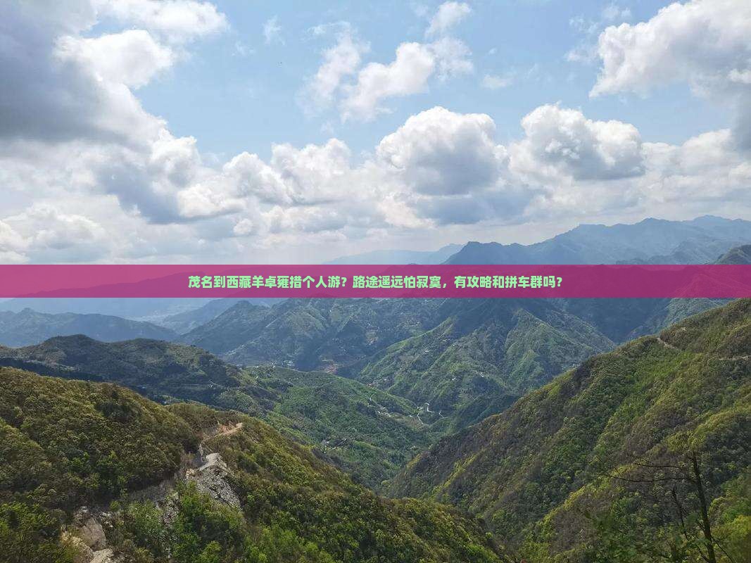 茂名到西藏羊卓雍措个人游