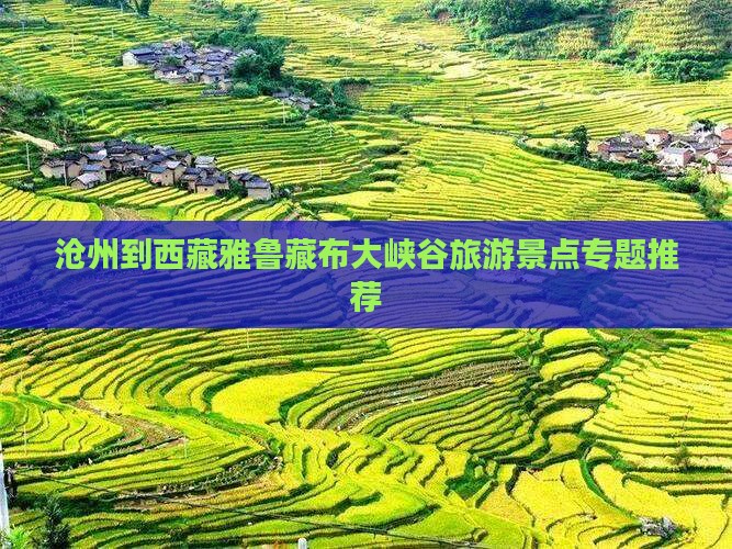 沧州去西藏雅鲁藏布大峡谷自由团