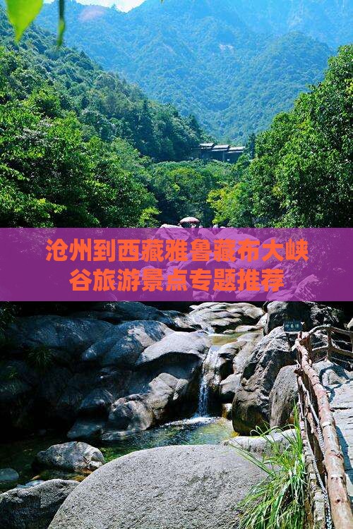沧州去西藏雅鲁藏布大峡谷自由团