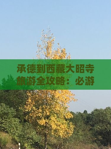 承德到西藏大昭寺旅游