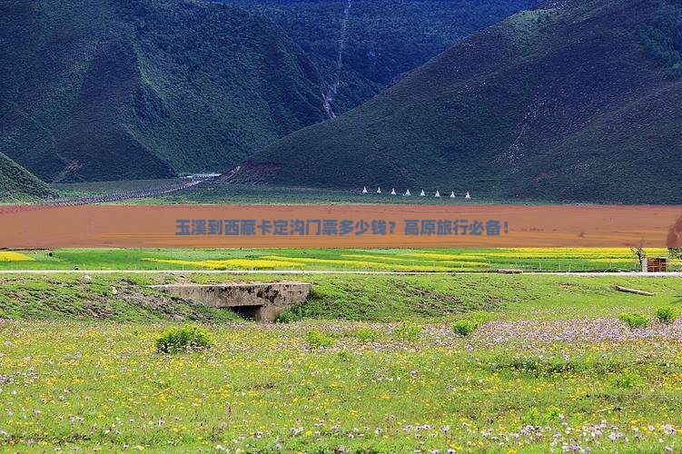 玉溪去西藏卡定沟门票 玉溪去西藏卡定沟门票