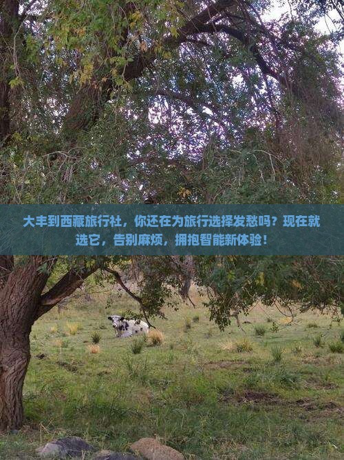 大丰到西藏旅行社