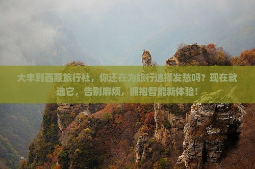 大丰到西藏旅行社