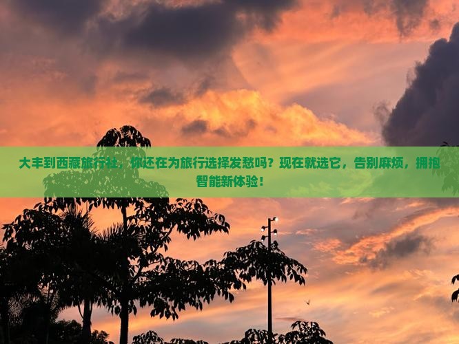 大丰到西藏旅行社