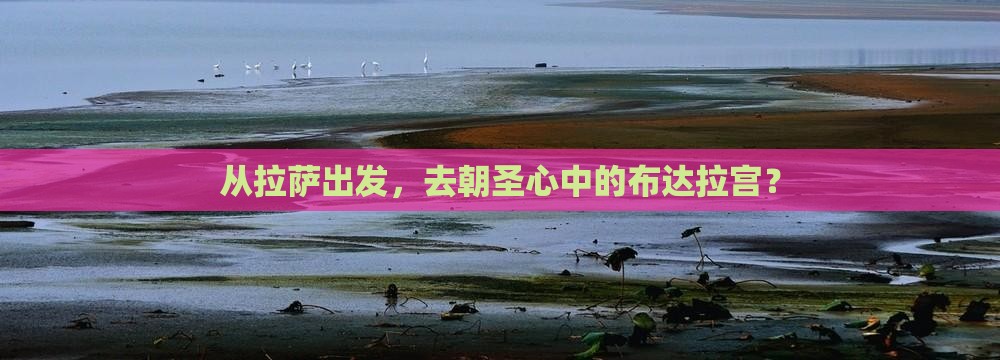 拉萨到西藏布达拉宫景点