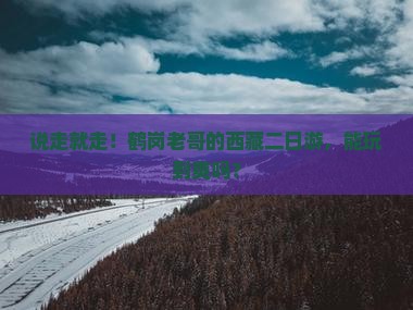 鹤岗去西藏二日游