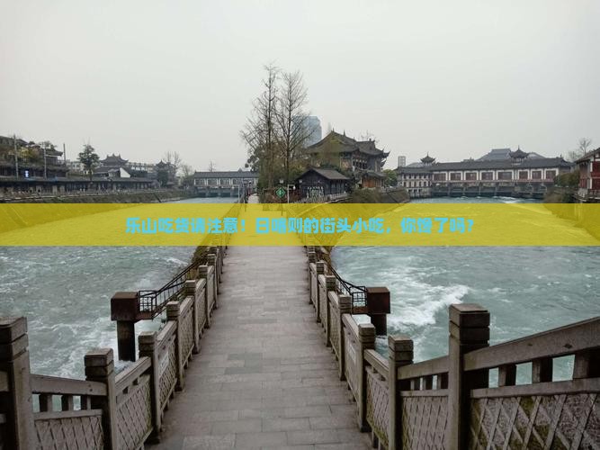 乐山去西藏日喀则旅游小吃