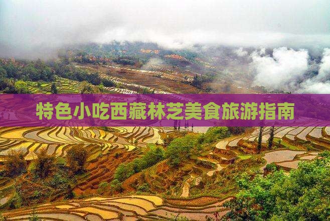 醴陵去西藏林芝旅游小吃