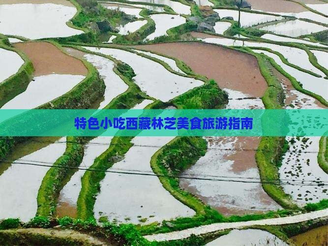 醴陵去西藏林芝旅游小吃