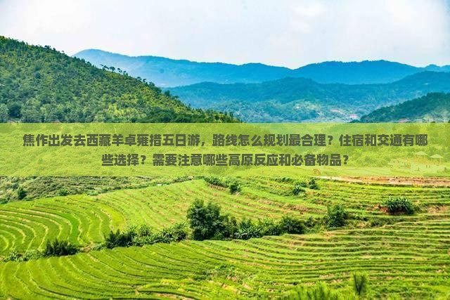 焦作去西藏羊卓雍措五日游