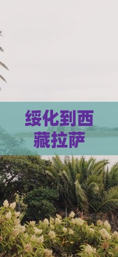 绥化到西藏拉萨五日游