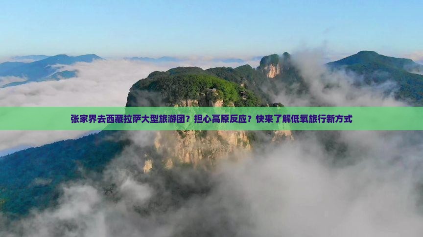 张家界去西藏拉萨大型旅游团