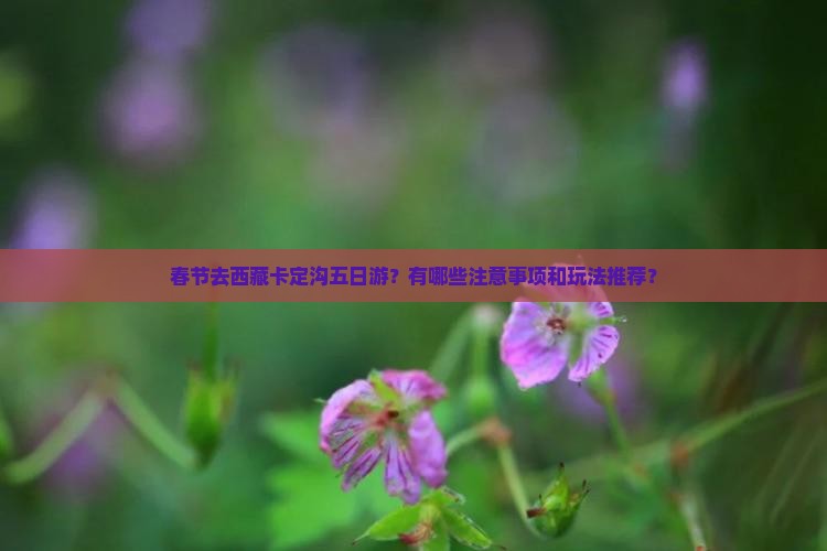 春节去西藏卡定沟五日游
