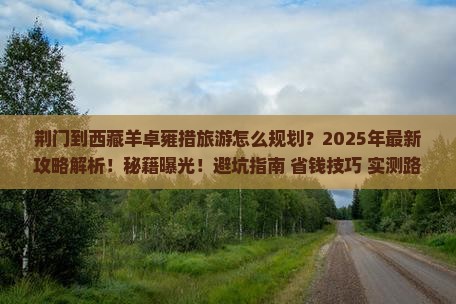 荆门到西藏羊卓雍措旅游