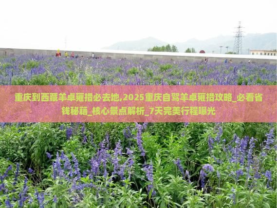 重庆到西藏羊卓雍措必去地