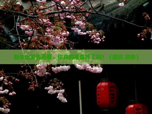 新余去西藏团体旅游