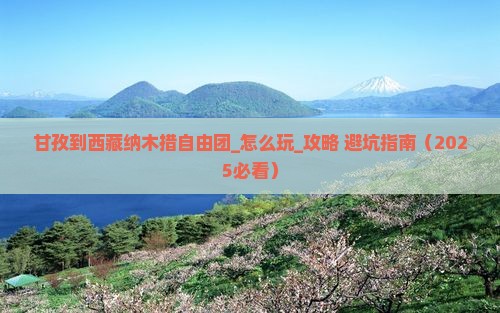 甘孜到西藏纳木措自由团