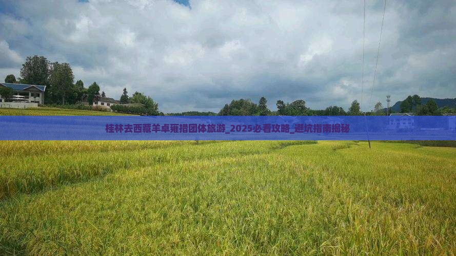 桂林去西藏羊卓雍措团体旅游