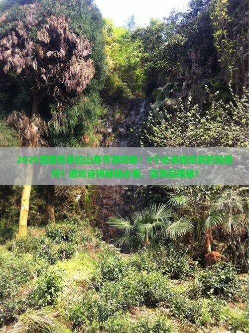 春节到西藏色季拉山必去地
