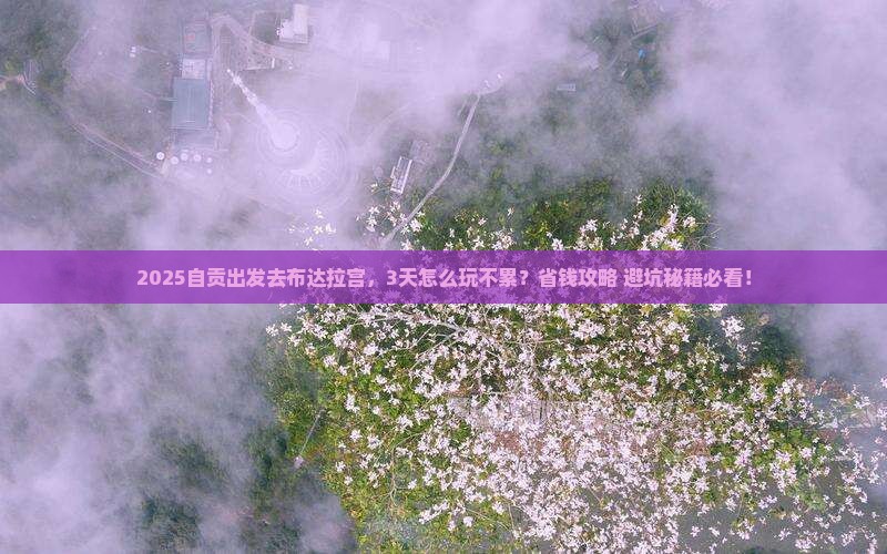 自贡到西藏布达拉宫攻略