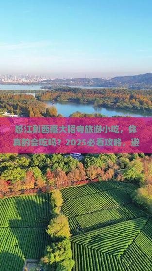 怒江到西藏大昭寺旅游小吃