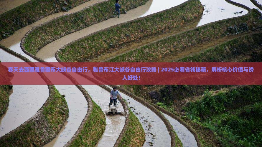 春天去西藏雅鲁藏布大峡谷自由行