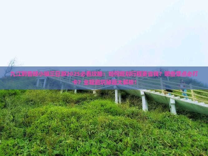 九江到西藏鲁朗小镇三日游
