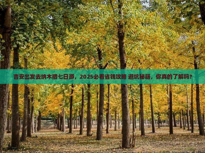 吉安去西藏纳木措七日游