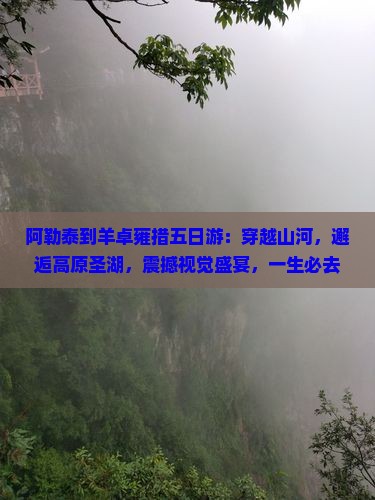阿勒泰到西藏羊卓雍措五日游