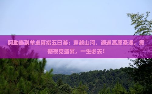 阿勒泰到西藏羊卓雍措五日游