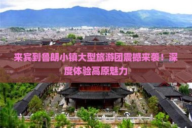 来宾到西藏鲁朗小镇大型旅游团