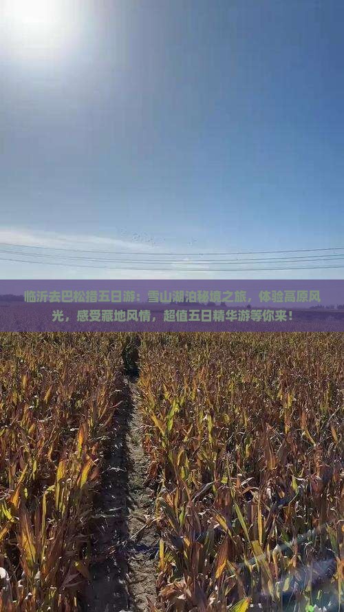 临沂去西藏巴松措五日游