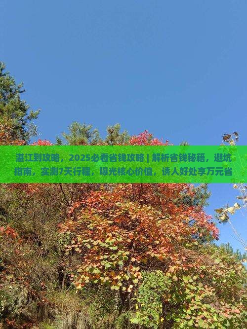 湛江到西藏攻略