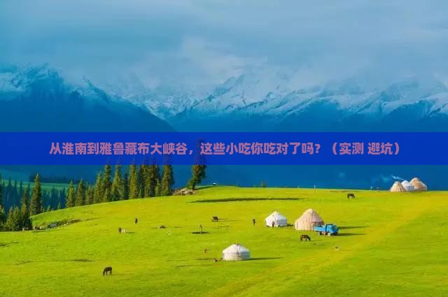 淮南到西藏雅鲁藏布大峡谷旅游小吃