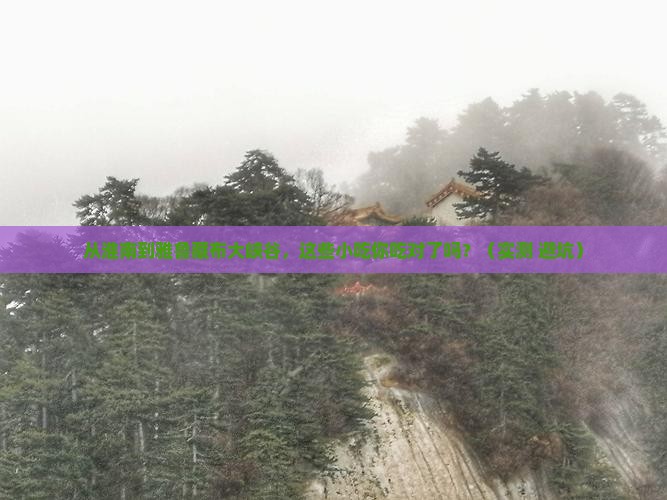 淮南到西藏雅鲁藏布大峡谷旅游小吃