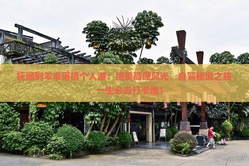 抚顺到西藏羊卓雍措个人游