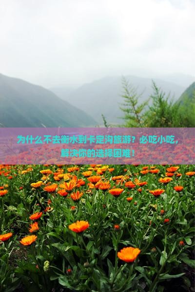 衡水到西藏卡定沟旅游小吃