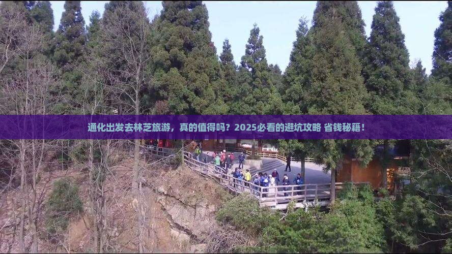 通化去西藏林芝旅游