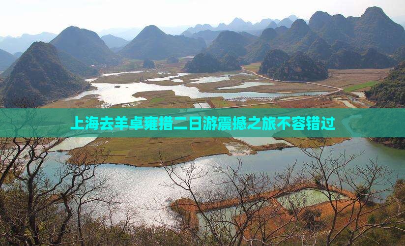 上海去西藏羊卓雍措二日游