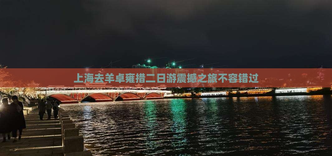 上海去西藏羊卓雍措二日游