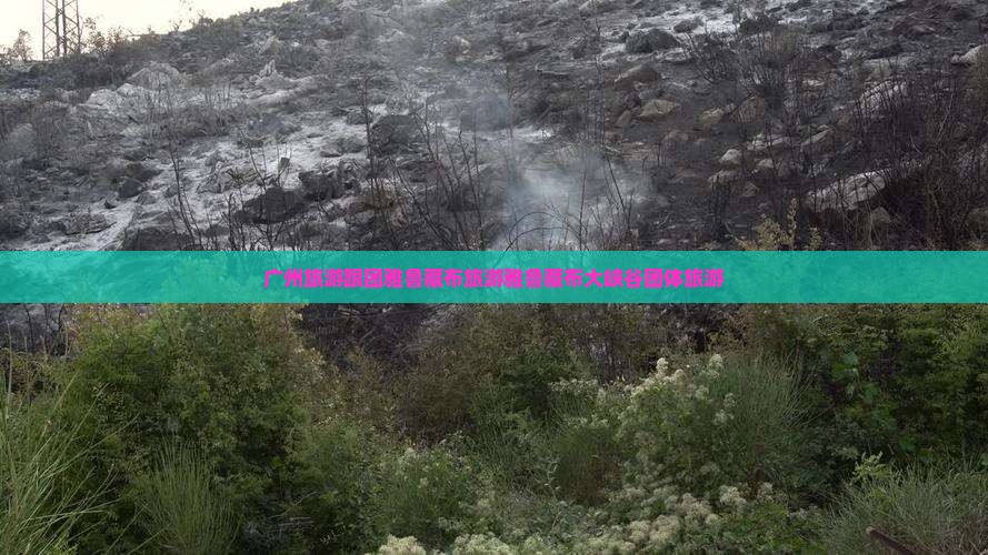 广州去西藏雅鲁藏布大峡谷团体旅游