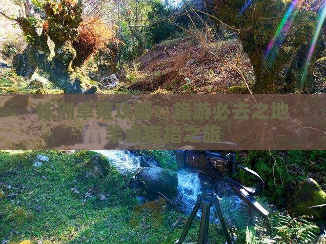 株洲去西藏羊卓雍措旅游