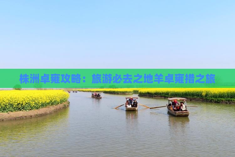 株洲去西藏羊卓雍措旅游