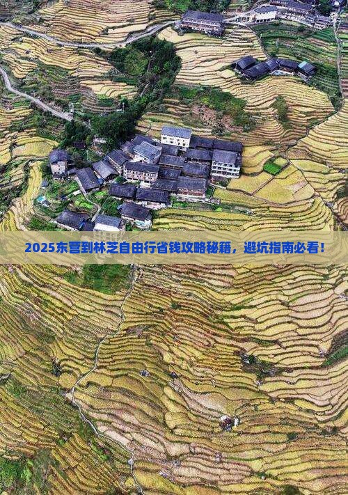 东营到西藏林芝自由行