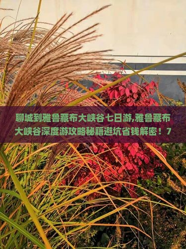 聊城到西藏雅鲁藏布大峡谷七日游
