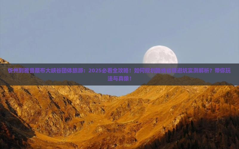 忻州到西藏雅鲁藏布大峡谷团体旅游