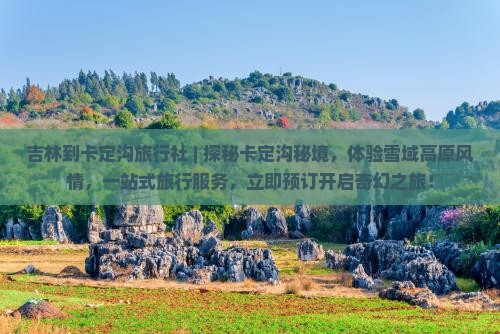吉林到西藏卡定沟旅行社