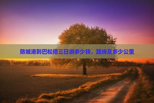 防城港到西藏巴松措三日游