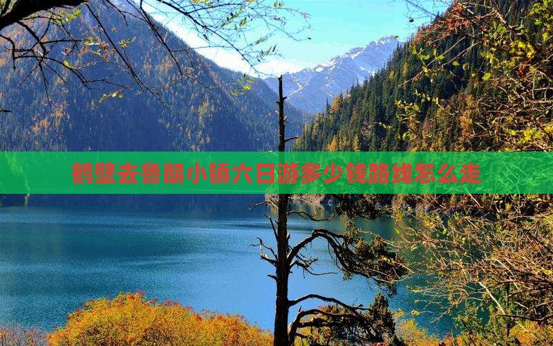 鹤壁去西藏鲁朗小镇六日游
