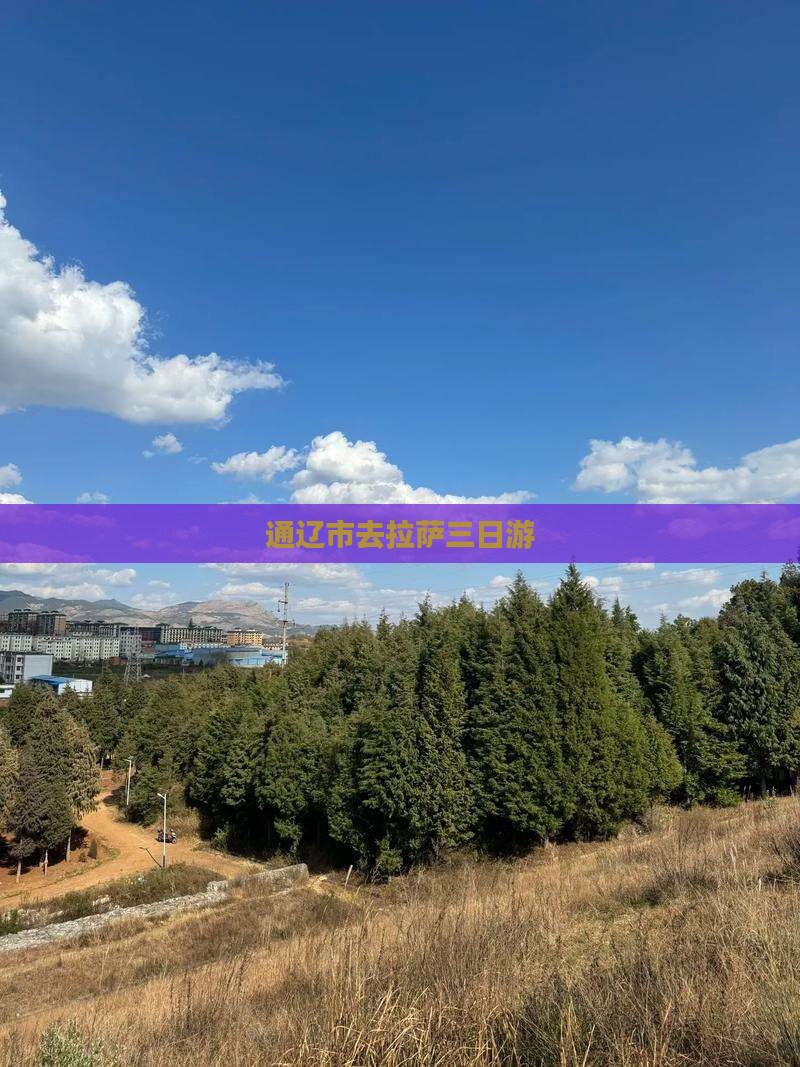 通辽市去西藏拉萨三日游
